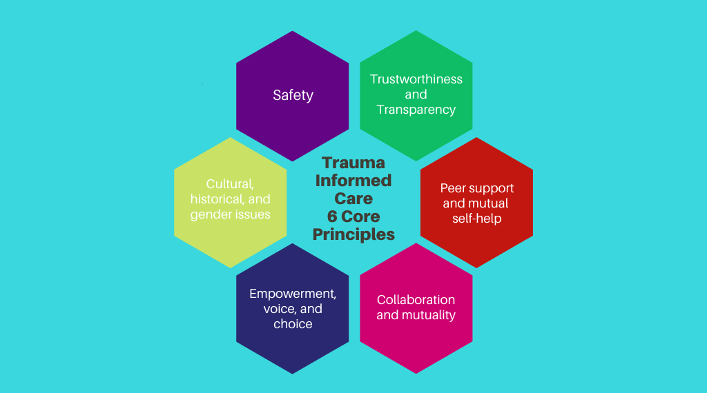 What is Trauma Informed Care and Why is it Important? – notMYkid®