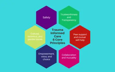 What is Trauma Informed Care and Why is it Important?